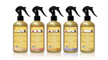 Load image into Gallery viewer, Oud Air Fresheners 455ml Collection of 5 by Oudlux